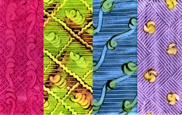 Teaserbild zur Veranstaltung WORKSHOP: Auf den Spuren des Herrnhuter Kleisterpapiers 