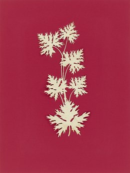 Teaserbild zur Veranstaltung 12x12 / 12 WERKE, 12 MONATE, 12 UHR