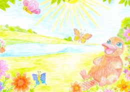 Teaserbild zur Veranstaltung Ferienprogramm: Lesung 