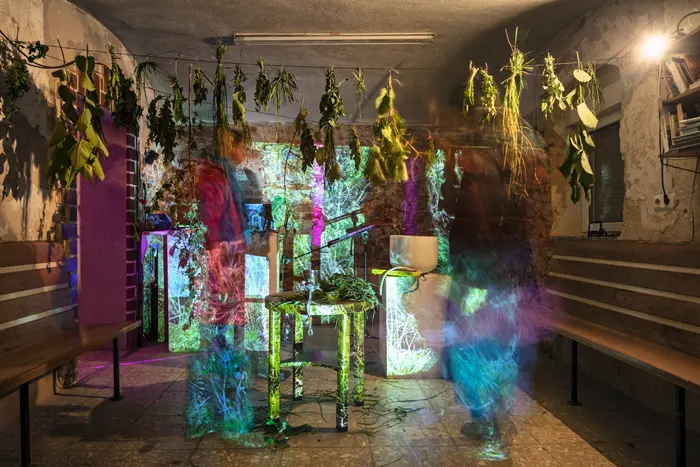 Deborah Geppert & Felix_Ermacora: Session #6 im ECK