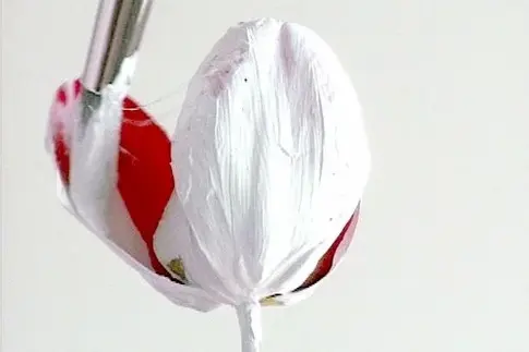 AK Dolven, still life, 1998