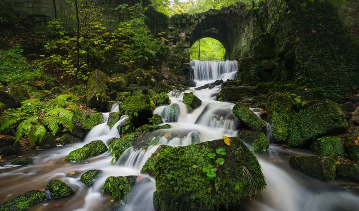 Bach vor einer Brücke