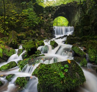 Bach vor einer Brücke