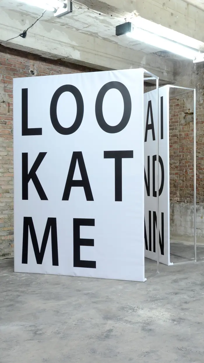 Daniel Rode_LOOK AGAIN_2018