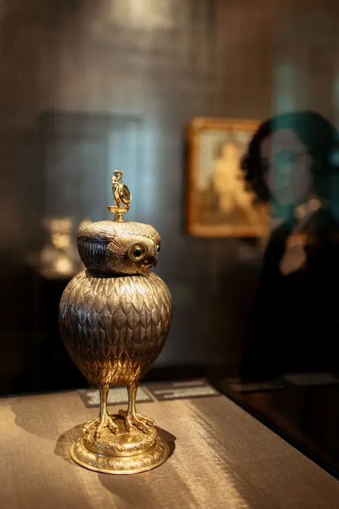 Besucherin schaut sich eine Eule in einer Vitrine an