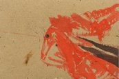Joseph Beuys, Einhorn, 1956—1957 rote Farbe auf braunem Untergrund