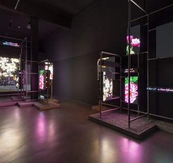 Videoscreens in einem Raum