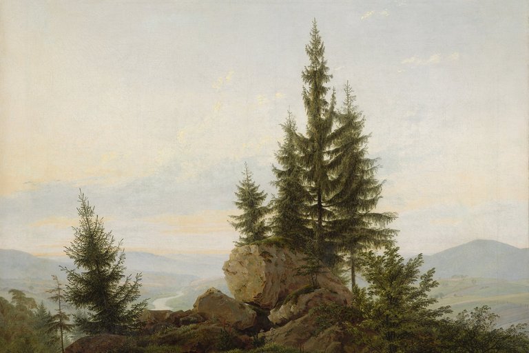 Eine Waldlandschaft