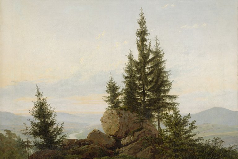 Eine Waldlandschaft