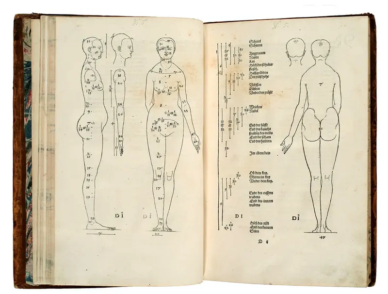 Dürers Proportionslehre