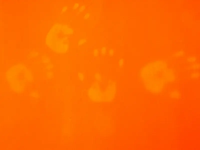 Véronique Joumard, Orange, 2003  