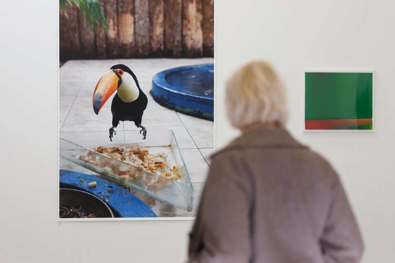 museum ausstellung fotografie