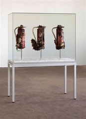Peter Bux, Restrisiko Drei Feuerlöscher mit Wucherungen in einer Vitrine