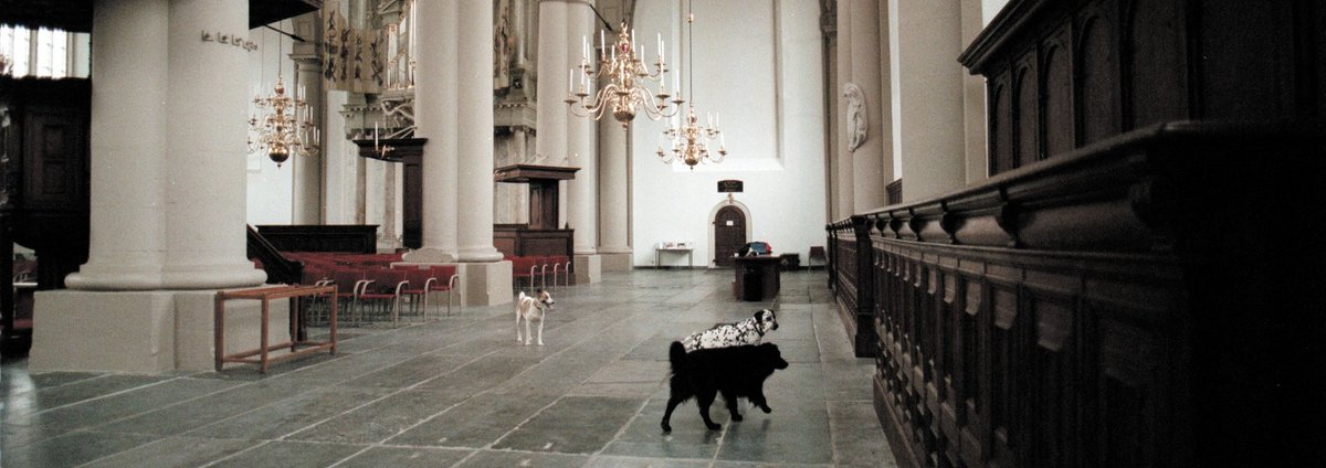 Bojan Šarčević, Il semble que l’animal est dans le monde comme l’eau dans l’eau (Videostill), 1999