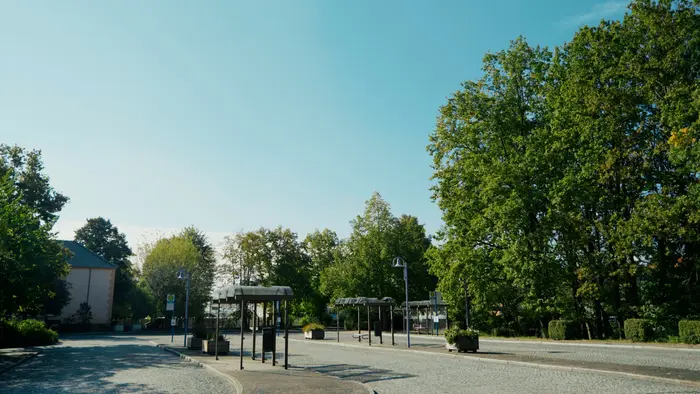 Park im Sommer