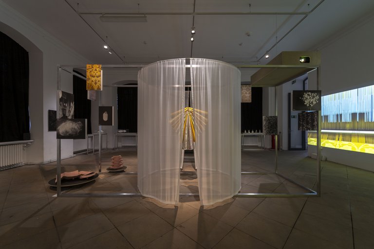 Ausstellungsraum mit Objekten und Filmprojektionen