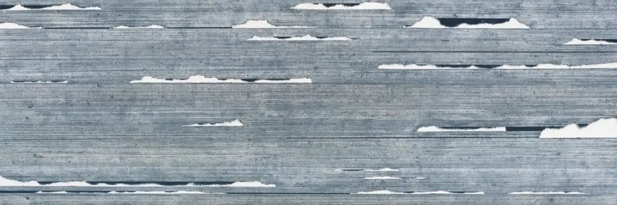 Claudia Kleiner, webung 20.11, 2020