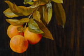 Sophie Prell, Orangenzweig