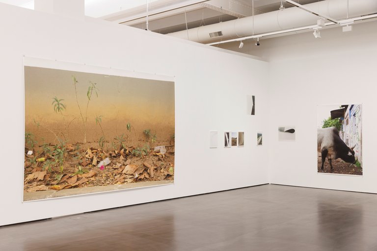 museum ausstellung fotografie