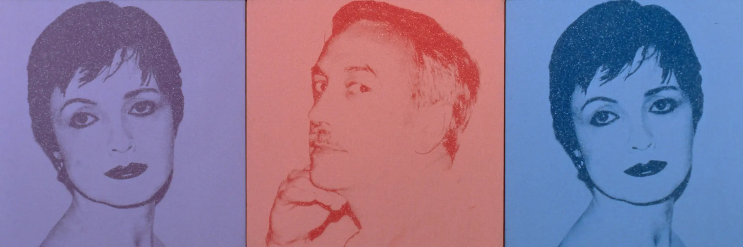 Andy Warhol, Portraits, 1980, detail