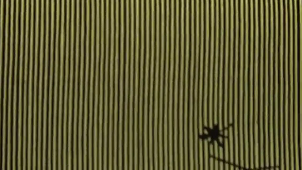 Die Logik des Regens / Logical Rain