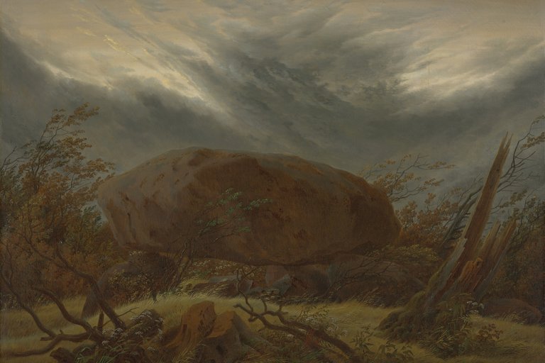 Eine Waldlandschaft