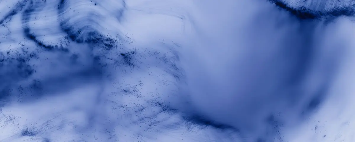 Wolfgang Tillmans, Freischwimmer 234, 2024